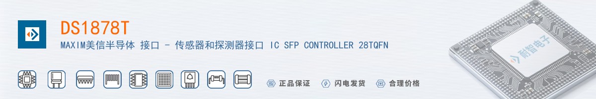 DS1878T������