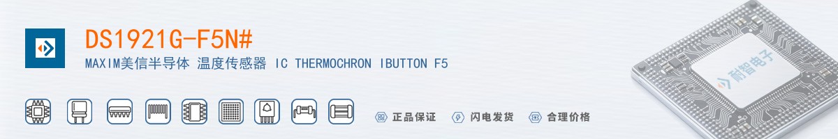 DS1921G-F5N#������