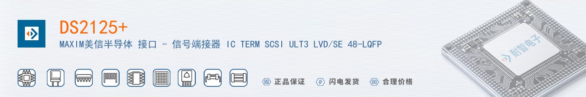 DS2125������