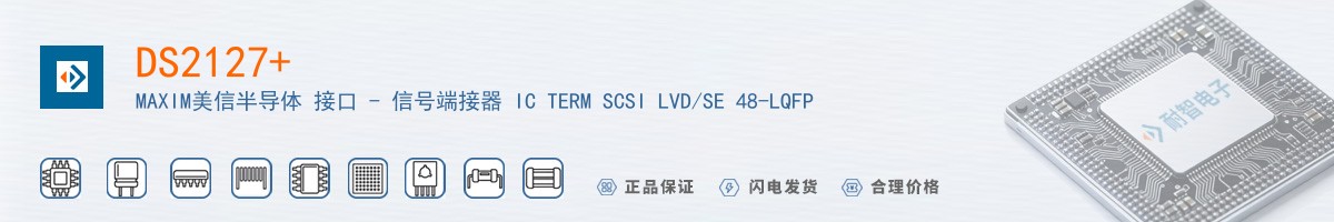 DS2127+������