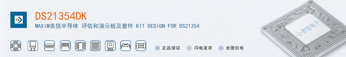 DS21354DK������