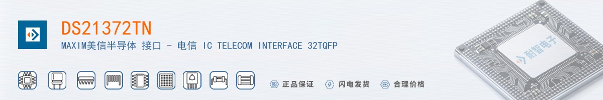 DS21372TN+������
