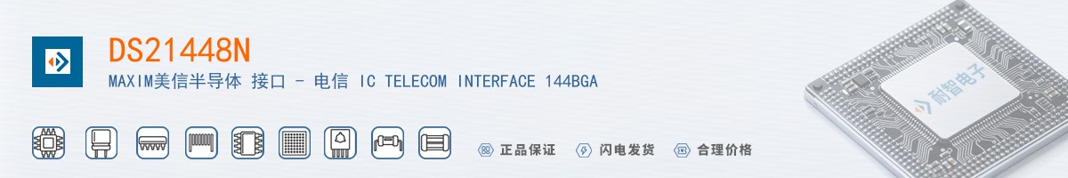 DS21448N������