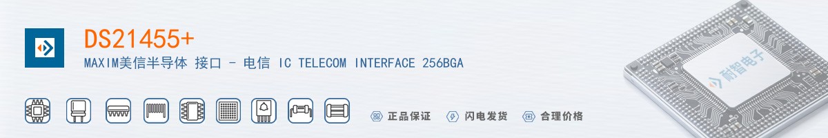 DS21455+������