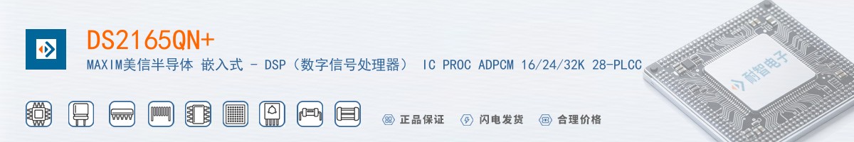 DS2165QN������