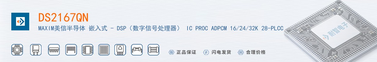 DS2167QN������