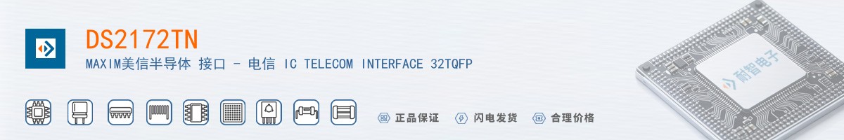 DS2172TN+������