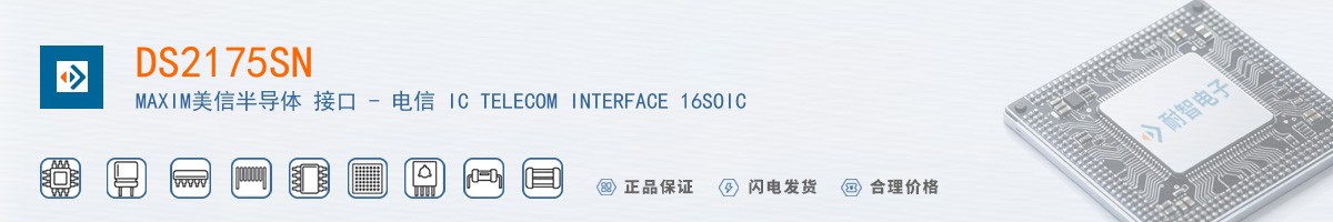 DS2175SN+������
