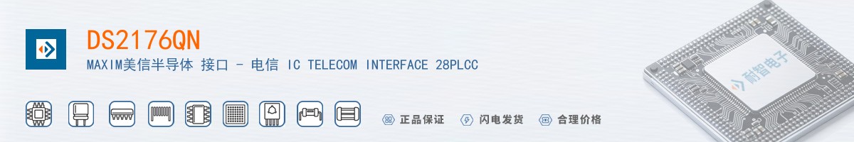 DS2176QN������