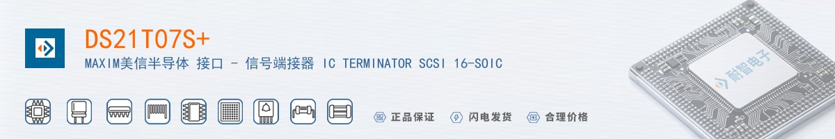 DS21T07S+������