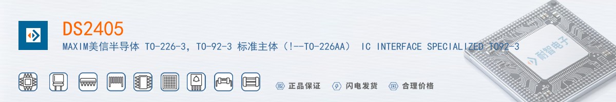 DS2405+������