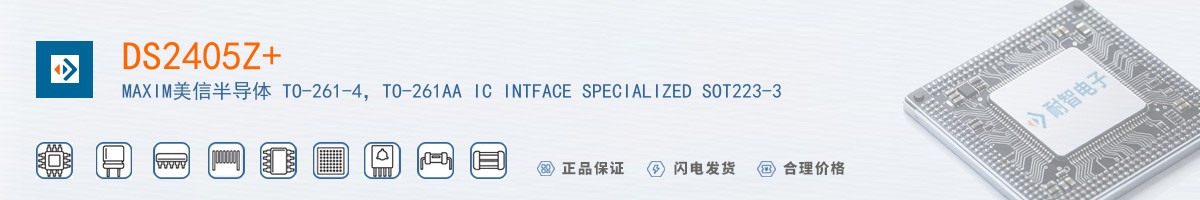 DS2405Z+������