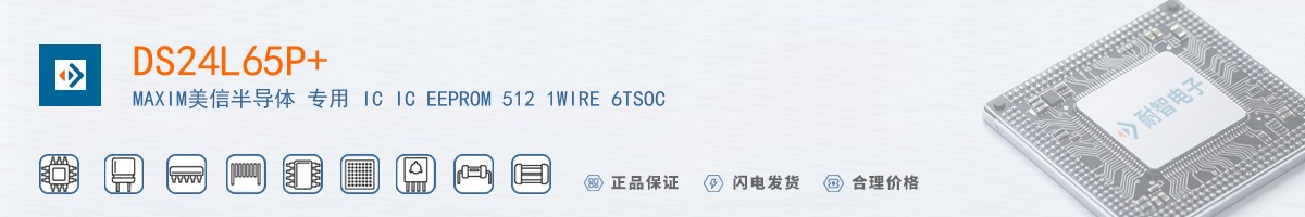 DS24L65P+������