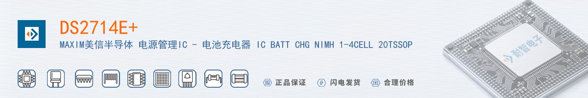 DS2714E+������