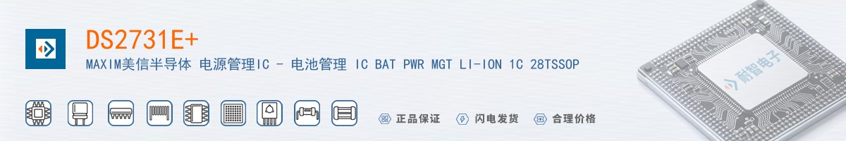 DS2731E+������