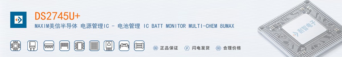 DS2745U+������