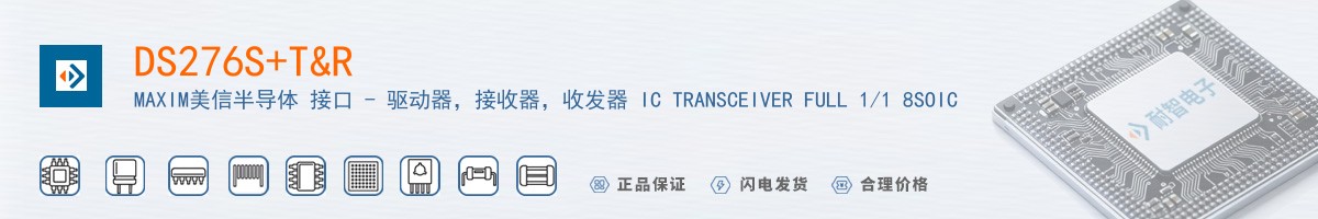 DS276S+T&R������