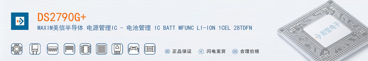 DS2790G+������