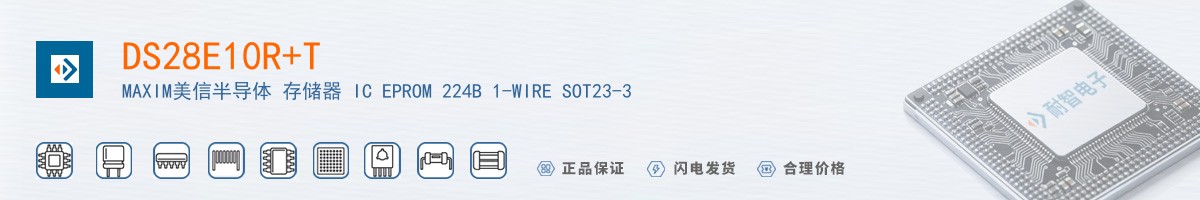 DS28E10R+T������