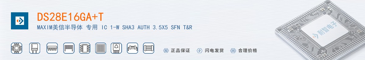 DS28E16GA+T������