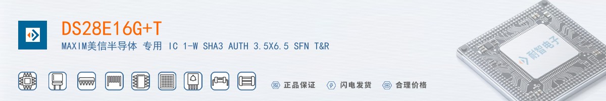 DS28E16G+T������
