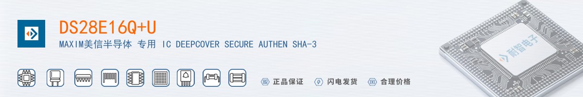 DS28E16Q+U������