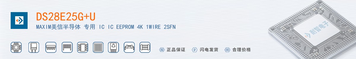 DS28E25G+U������