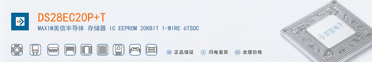 DS28EC20P+T������