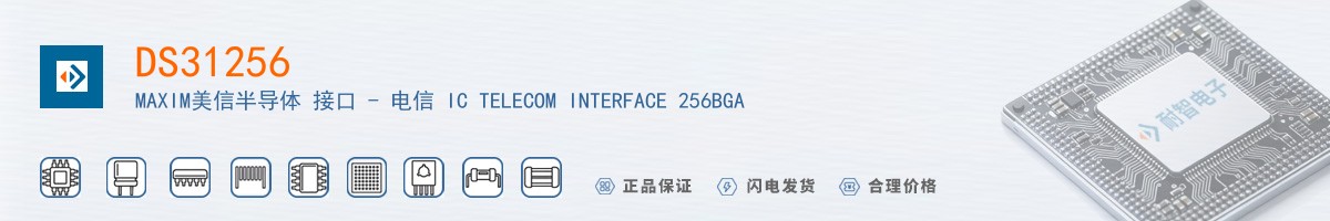 DS31256+������