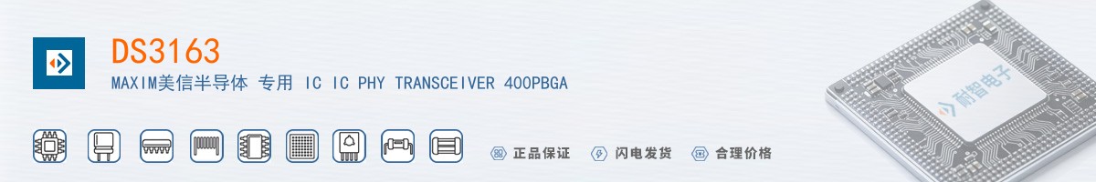 DS3163������