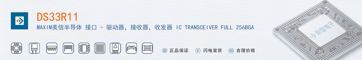 DS33R11������