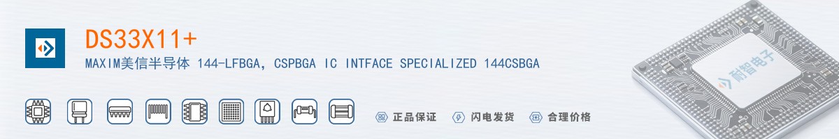 DS33X11+������