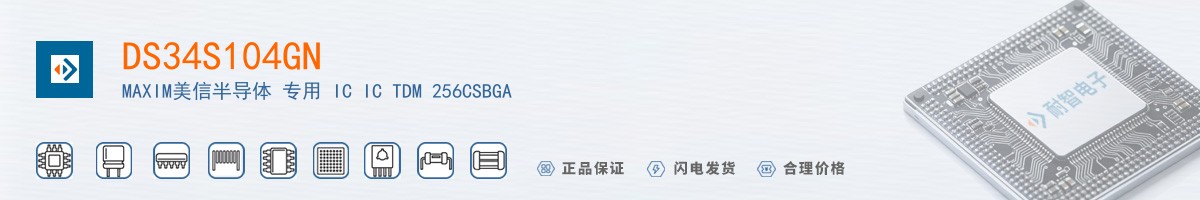 DS34S104GN������