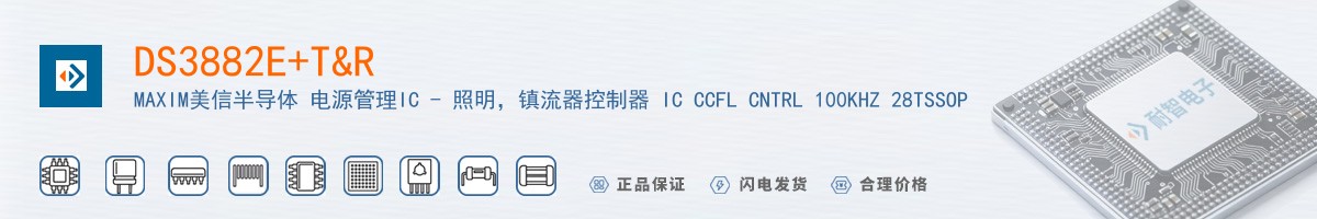 DS3882E+T&R������