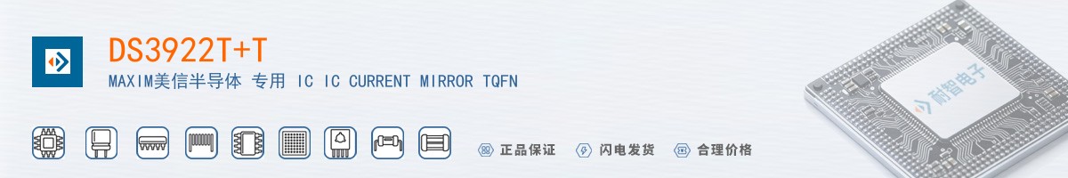DS3922T+T������