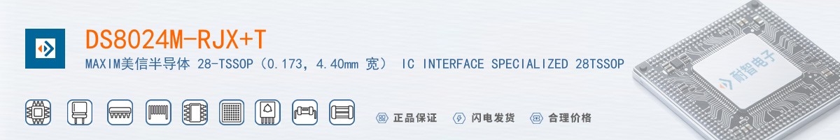 DS8024M-RJX+T������
