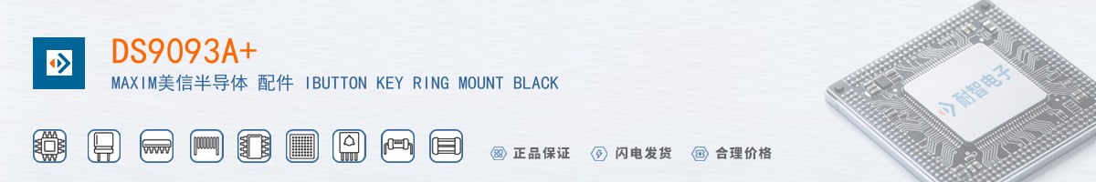 DS9093A+������