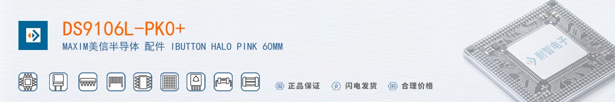 DS9106L-PK0+������