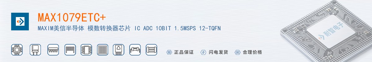MAX1079ETC+������