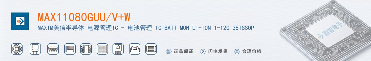 MAX11080GUU/V+W������