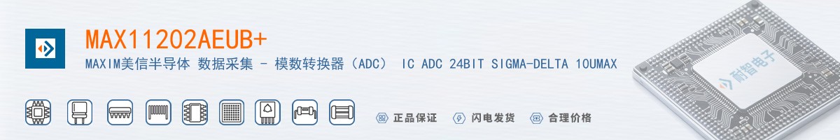 MAX11202AEUB+������