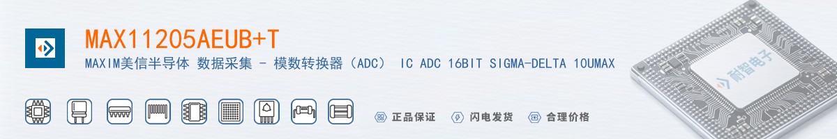 MAX11205AEUB+T������