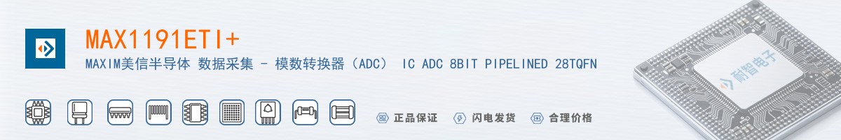 MAX1191ETI+������