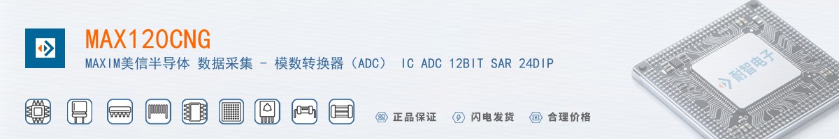 MAX120CNG������