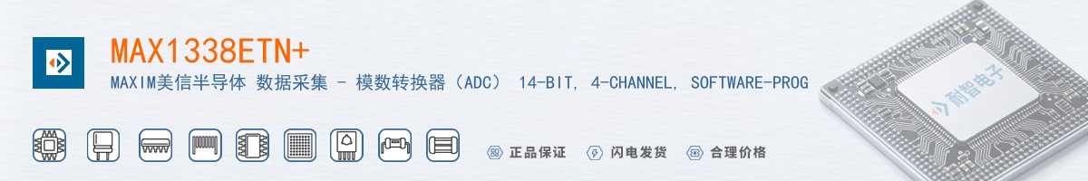 MAX1338ETN+������