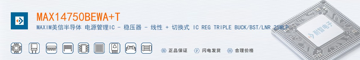 MAX14750BEWA+T������