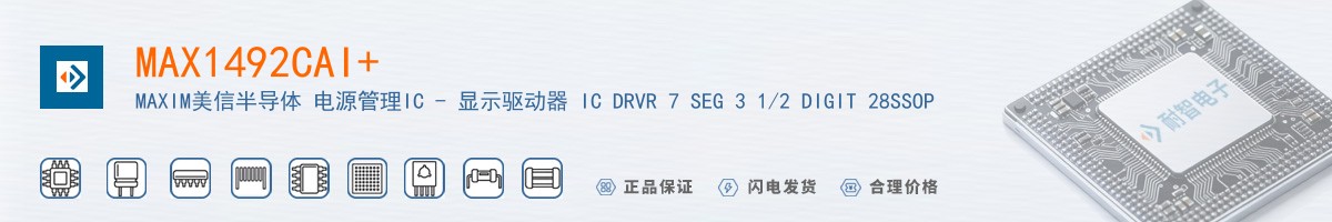 MAX1492CAI+������