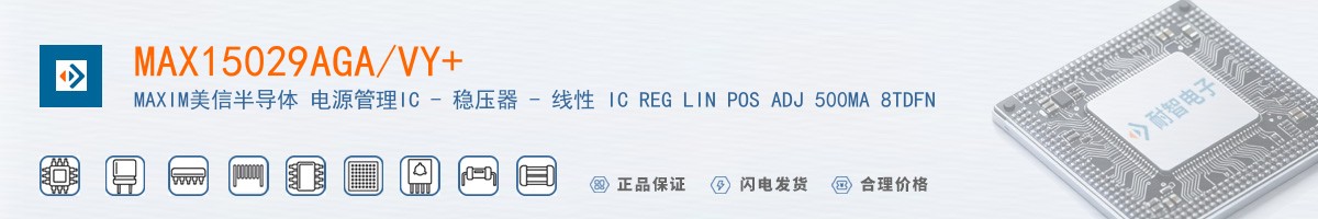 MAX15029AGA/VY+������