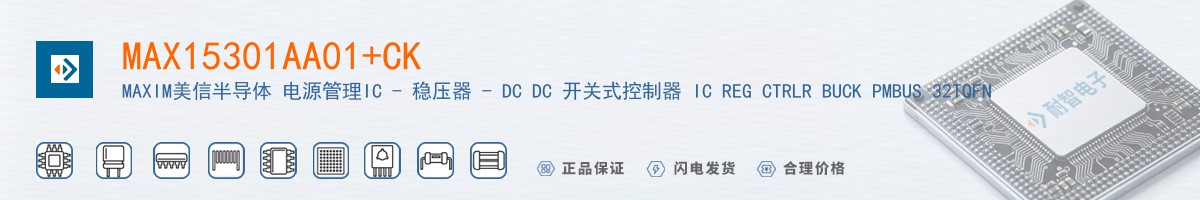 MAX15301AA01+CK������