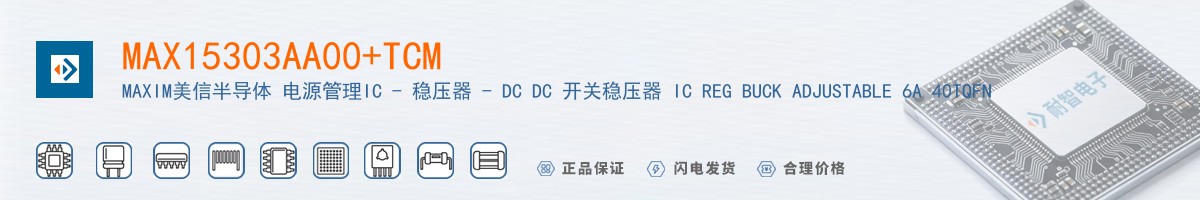 MAX15303AA00+TCM������
